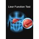 Liver Function Test (LFT)