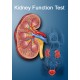Kidney Function Test (KFT)