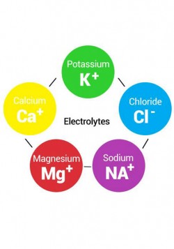 Electrolyte Profile
