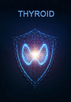 Thyroid Profile – Total