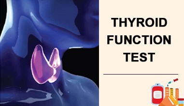 Thyroid Function Tests